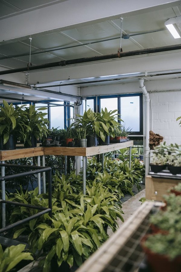 Trouver la verrière parfaite pour votre intérieur