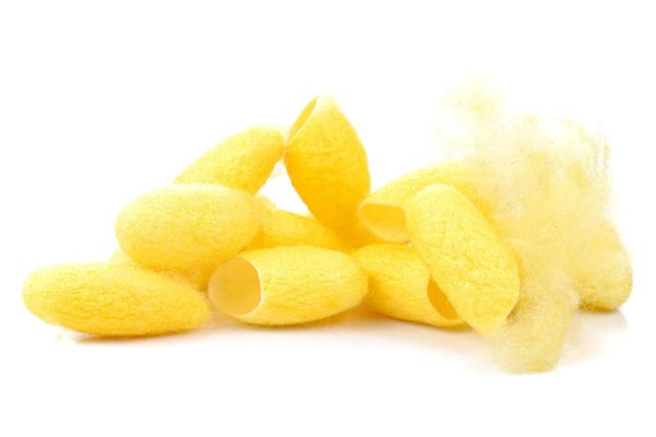 Créer une ambiance cocooning dans votre salon : comment choisir la disposition idéale de votre canapé en tissu bouclette ?