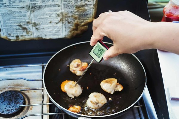 L'importance du thermomètre alimentaire dans la sécurité des aliments