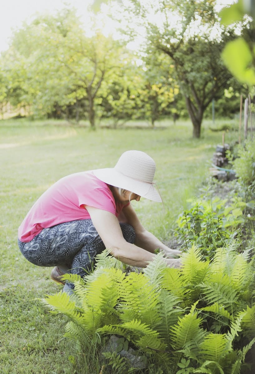 bien entretenir son espace vert