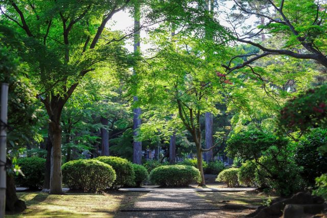 Créer un jardin paysager 