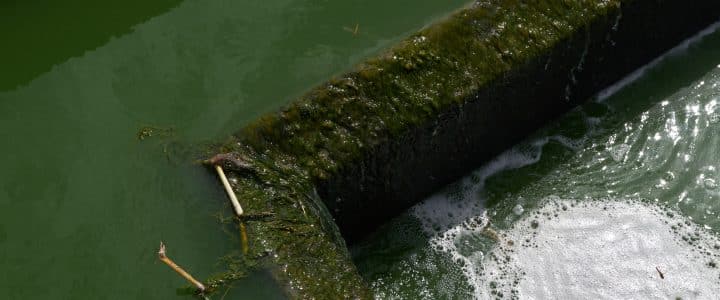 Traitement des eaux usées, un bénéfice pour l’environnement