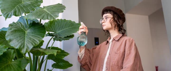 Lutte anti-nuisible : confiez votre sécurité à des experts