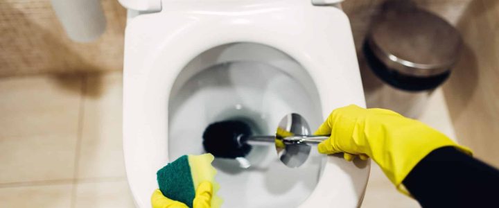 Dites adieu au tartre qui s’incruste dans vos toilettes : les astuces faciles pour un nettoyage efficace