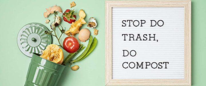 Acheter une poubelles de compost : insistez sur la forme et la taille du produit